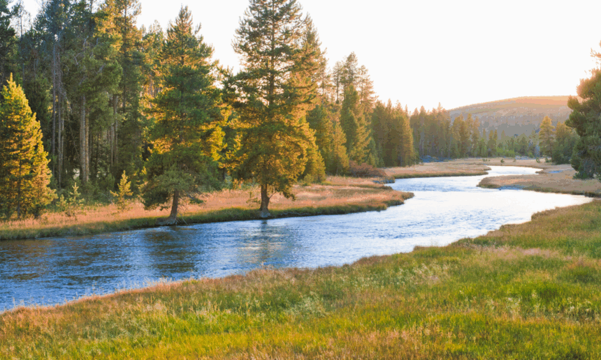Kempton Creek